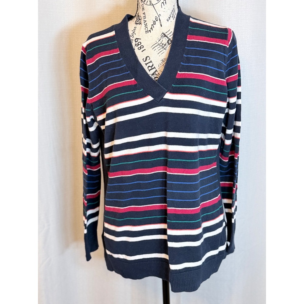 Gap V-Neck Sweater Preppy Navy Blue Striped Cotton Knit Size L